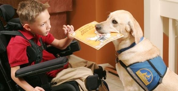 service-dog-with-boy