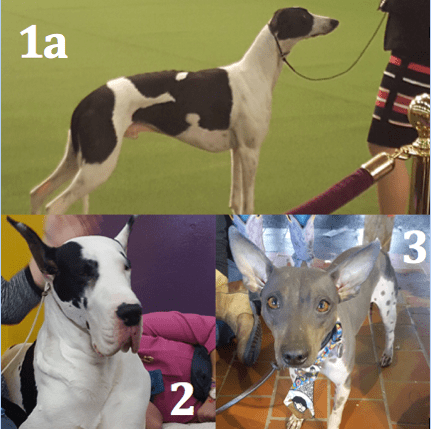 screen-shot-2017-02-21-at-7-16-52-pm