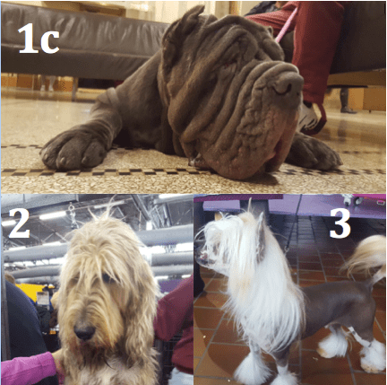 screen-shot-2017-02-21-at-7-18-05-pm